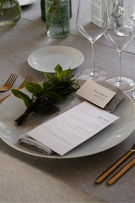 Champagne thienot – vigne – savoir-faire