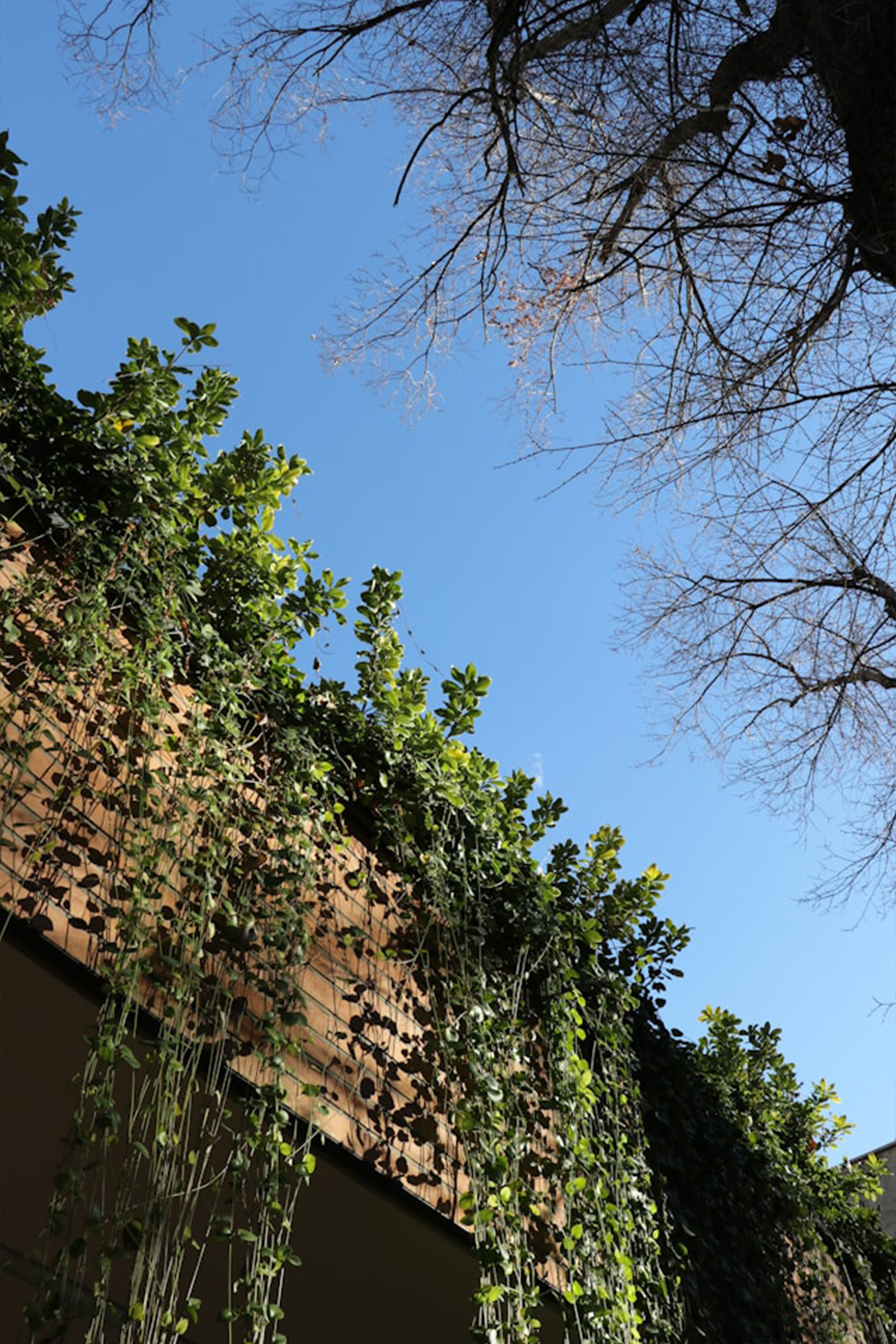Cloître arboré et jardin intérieur du 3 rue du Marc