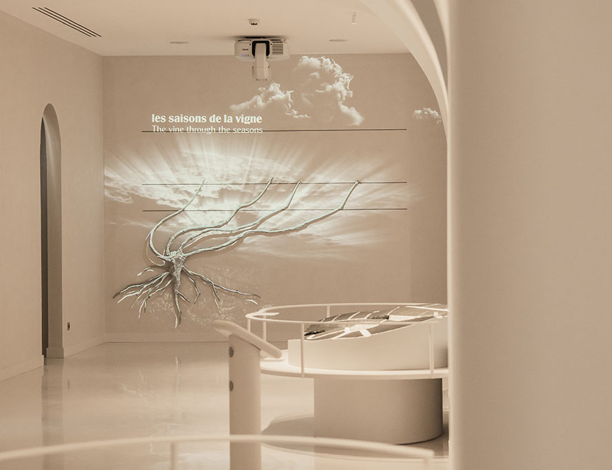 Champagne thienot – vigne – savoir-faire