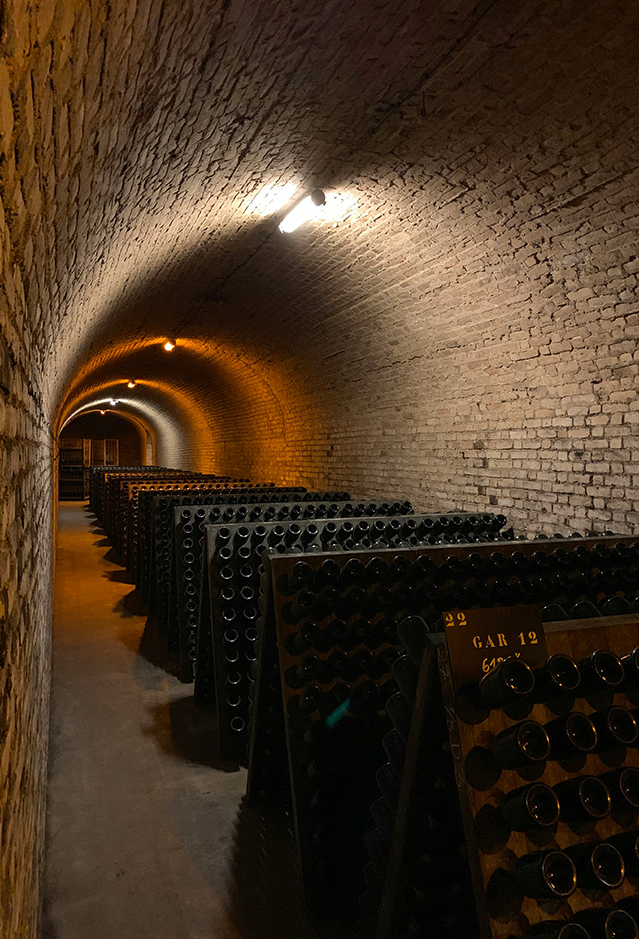 Dégustation – champagne Thiénot